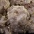 Quartz, Fluorite and Dolomite, Moscona Mine M03675